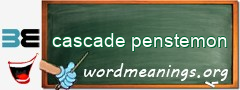 WordMeaning blackboard for cascade penstemon